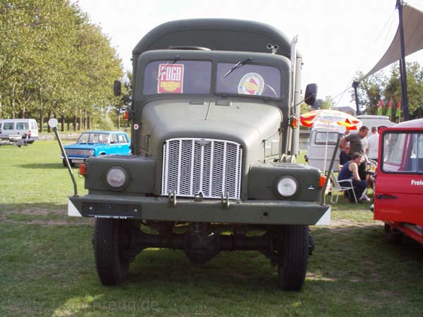 50620129