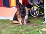 DSCF1768